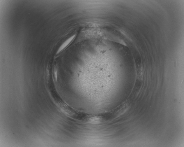 X0000068850456200605191956