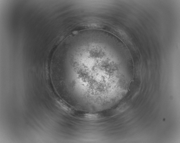 X0000068850457200605191956