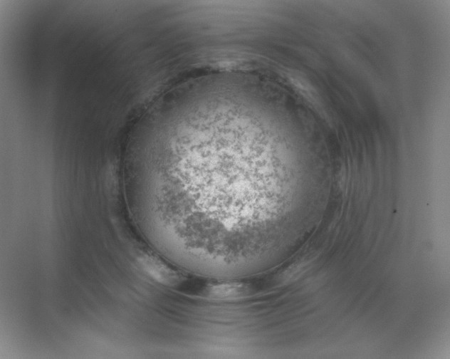 X0000068850461200605191956