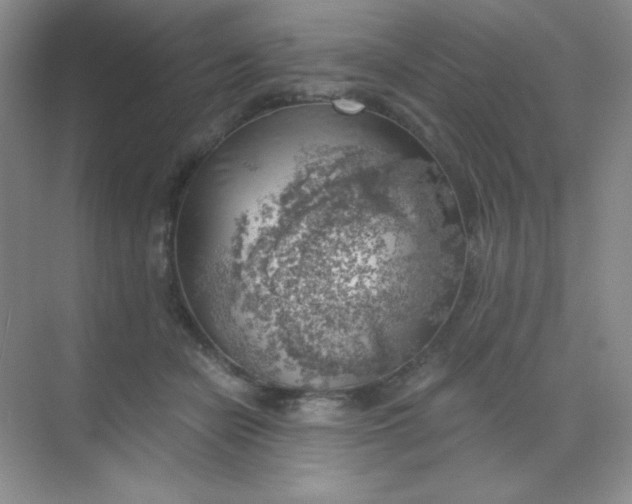 X0000068850462200605191956