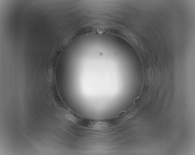 X0000068850463200605191956