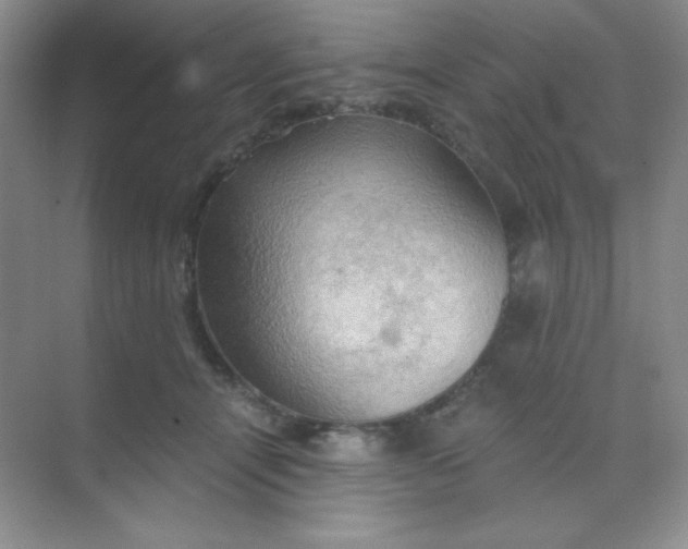 X0000068850464200605191956