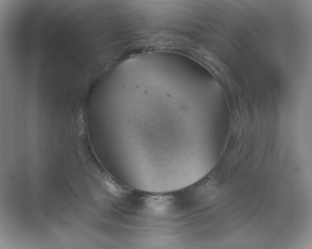 X0000068850465200605191956