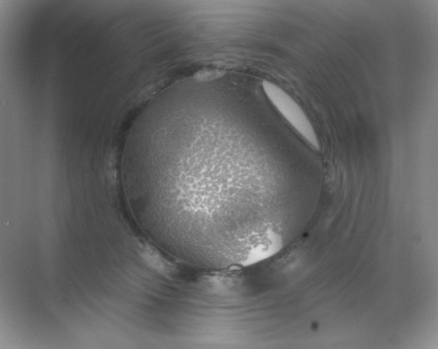 X0000068850466200605191956