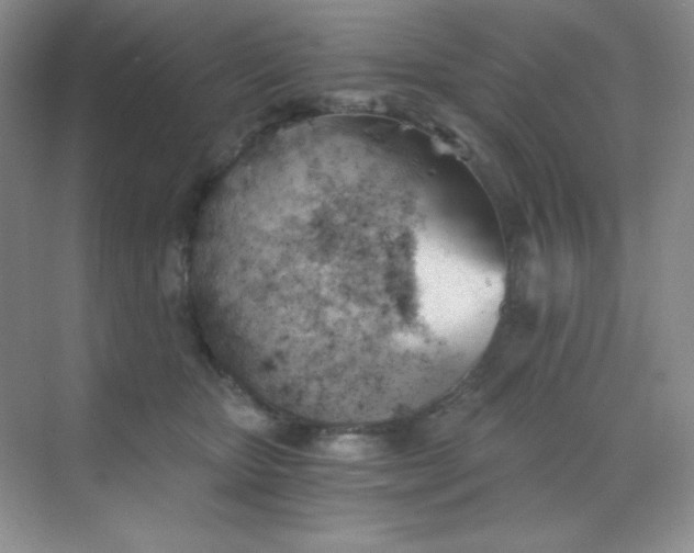 X0000068850467200605191956