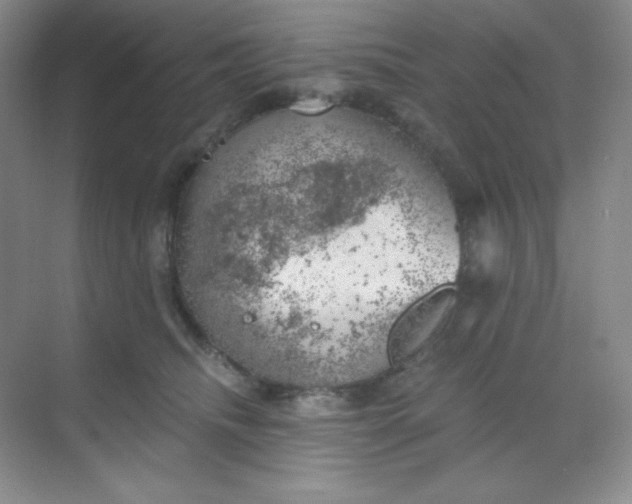 X0000068850468200605191956