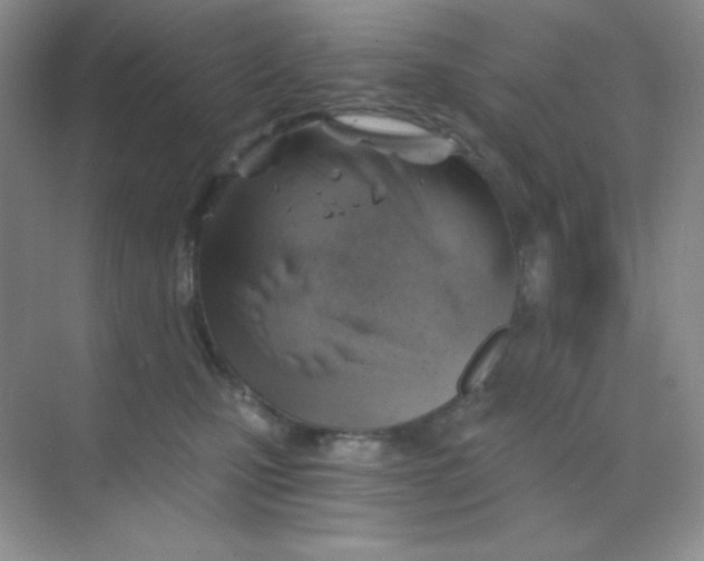 X0000068850471200605191956