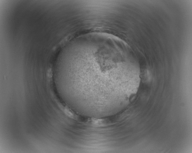 X0000068850472200605191956