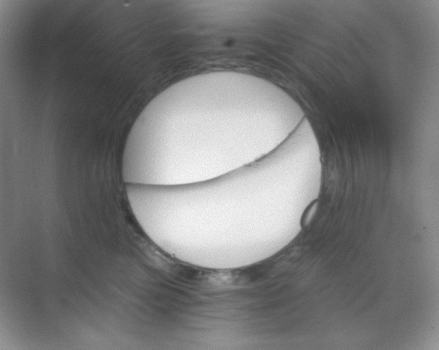 X0000068850473200605191956