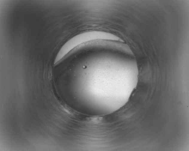 X0000068850474200605191956