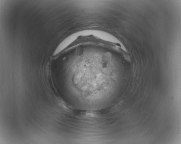 X0000068850475200605191956