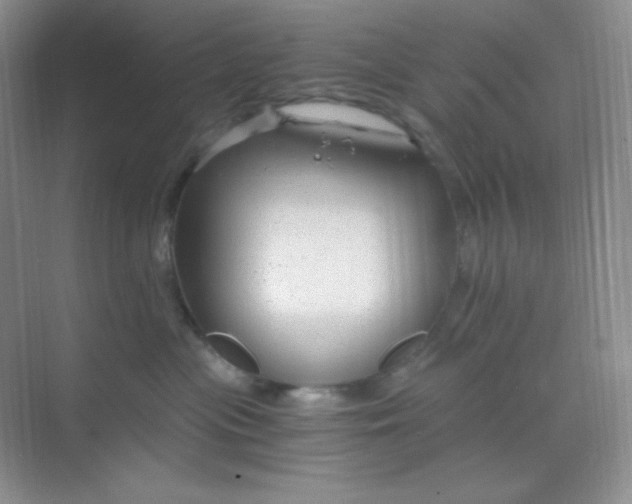 X0000068850477200605191956