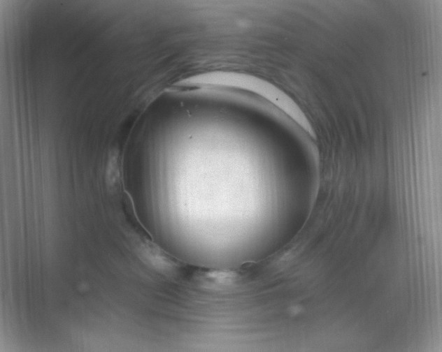 X0000068850478200605191956