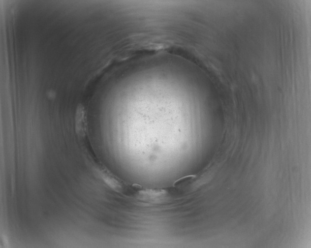 X0000068850480200605191956