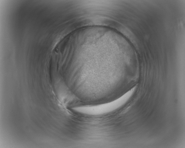 X0000068850481200605191955