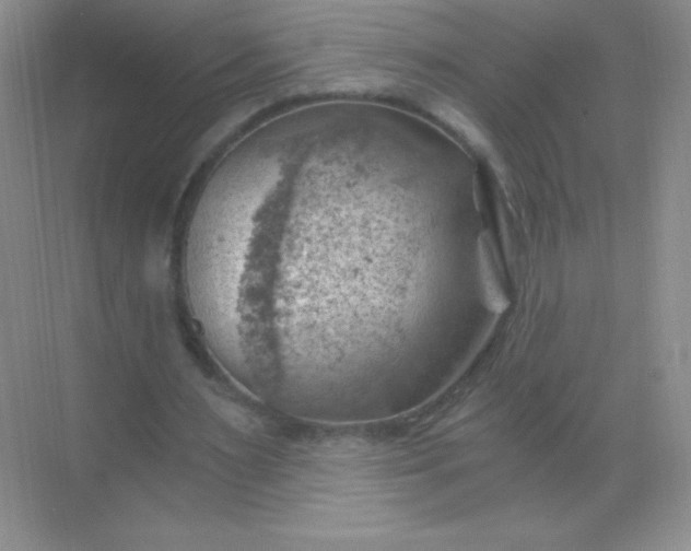 X0000068850483200605191955