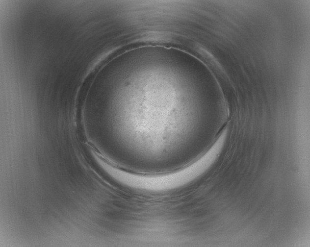 X0000068850484200605191955