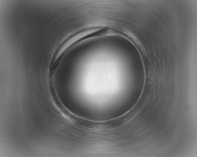 X0000068850485200605191955