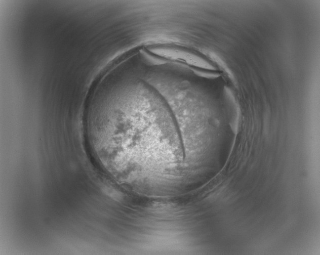 X0000068850487200605191955