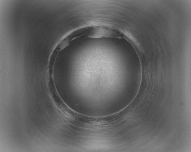 X0000068850488200605191955