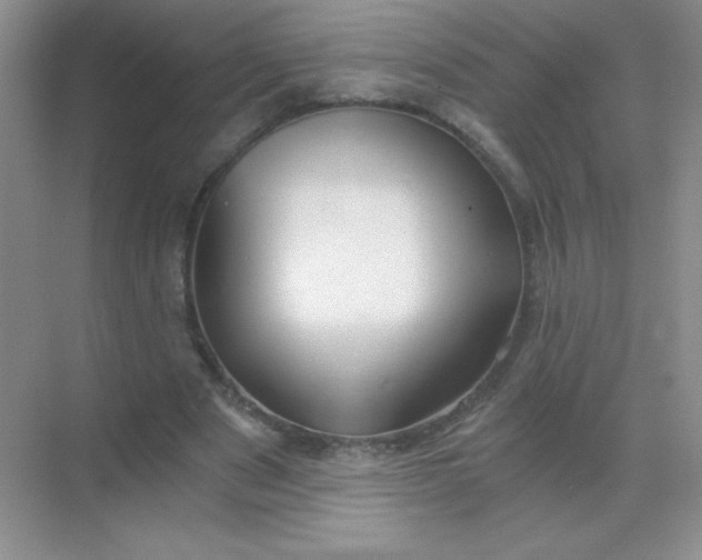 X0000068850489200605191955