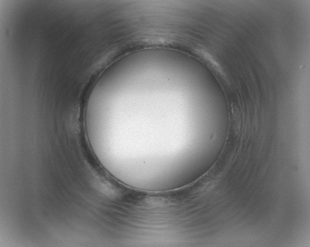 X0000068850490200605191955