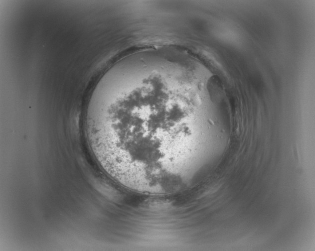 X0000068850491200605191955