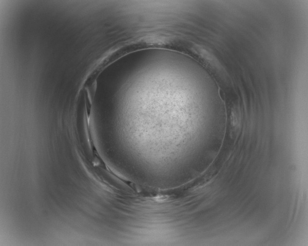 X0000068850492200605191955