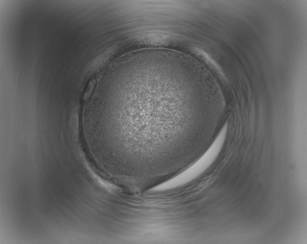 X0000068850493200605191955