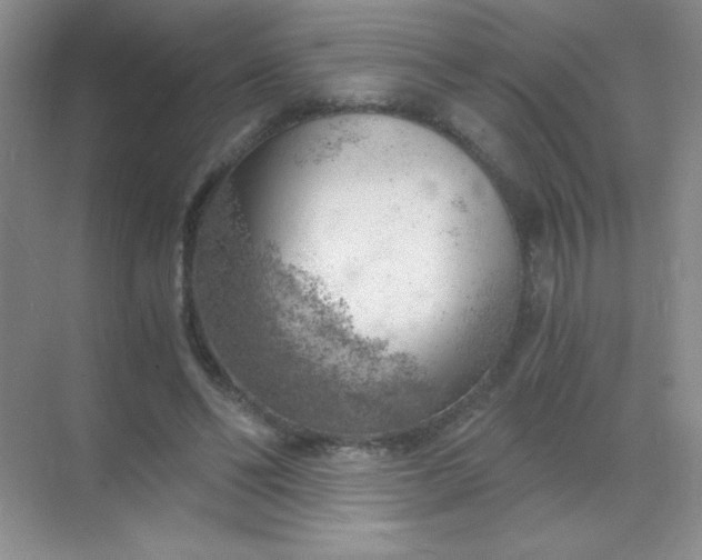 X0000068850494200605191955