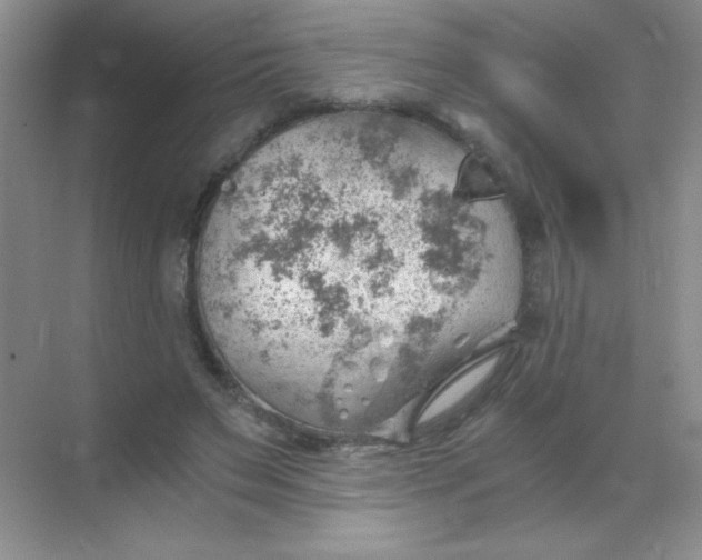 X0000068850495200605191955