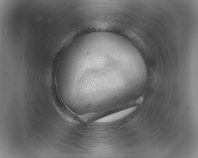 X0000068850496200605191955