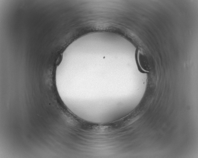 X0000068850497200605191955