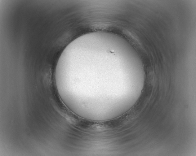 X0000068850498200605191955