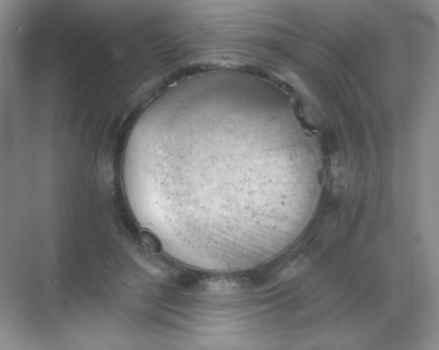 X0000068850500200605191955