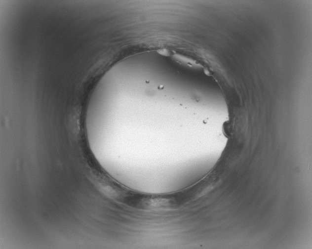 X0000068850501200605191955