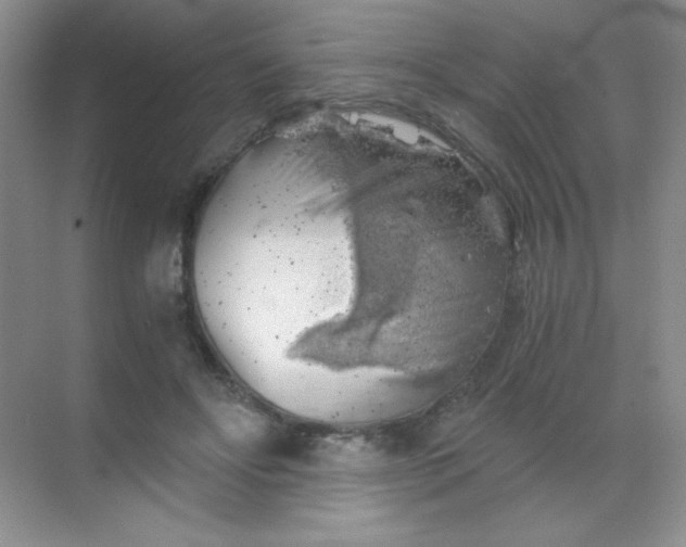 X0000068850502200605191955