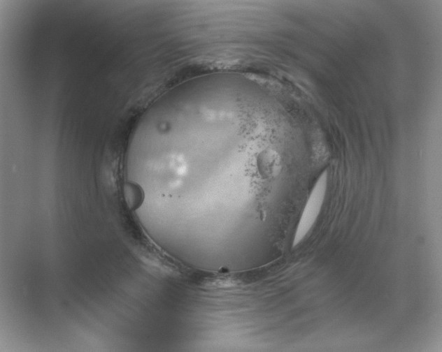 X0000068850503200605191955