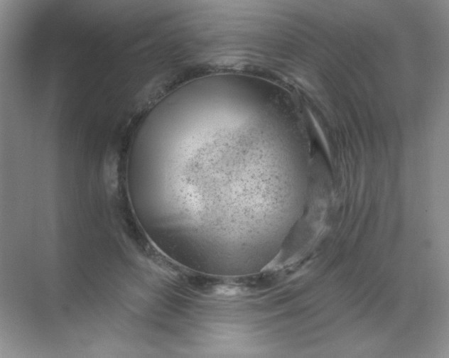 X0000068850504200605191955