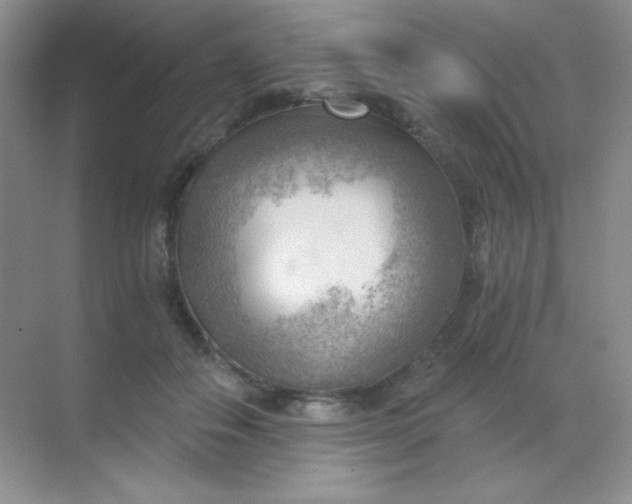 X0000068850506200605191955