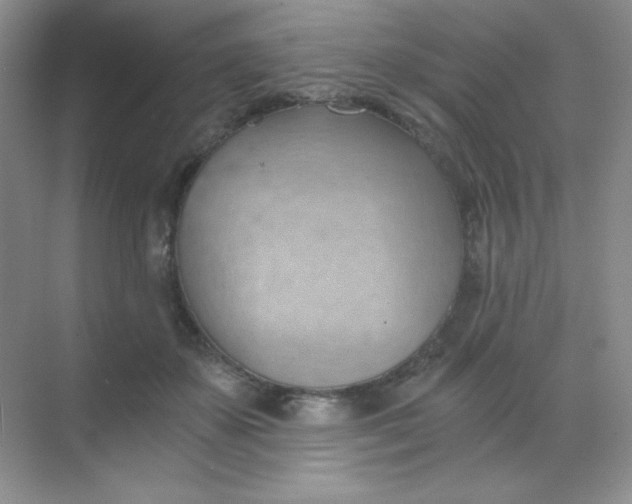 X0000068850507200605191955