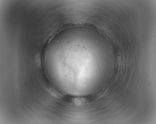 X0000068850508200605191955