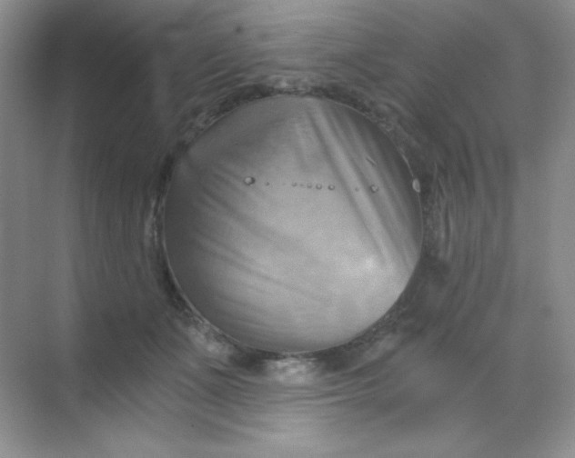 X0000068850511200605191955