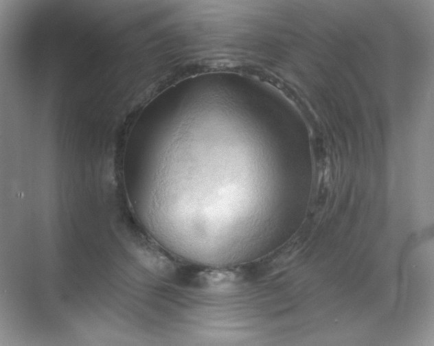 X0000068850512200605191955