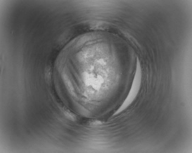 X0000068850513200605191955