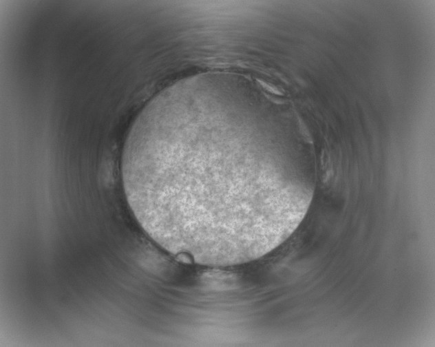 X0000068850515200605191955