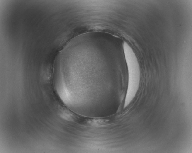 X0000068850517200605191955