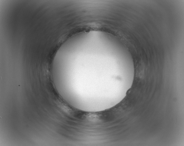 X0000068850518200605191955