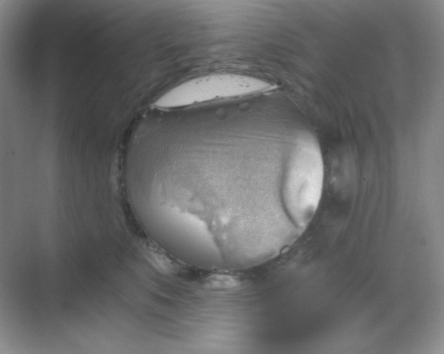 X0000068850519200605191954