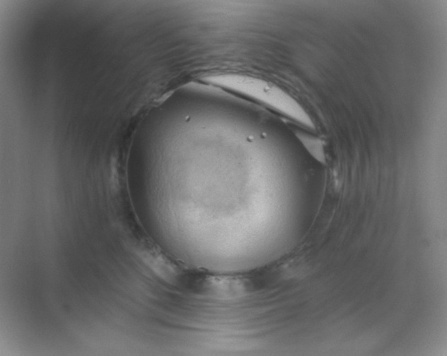 X0000068850520200605191954